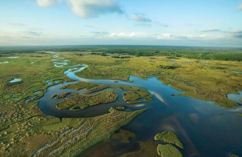 everglades national park 大沼泽地国家公园