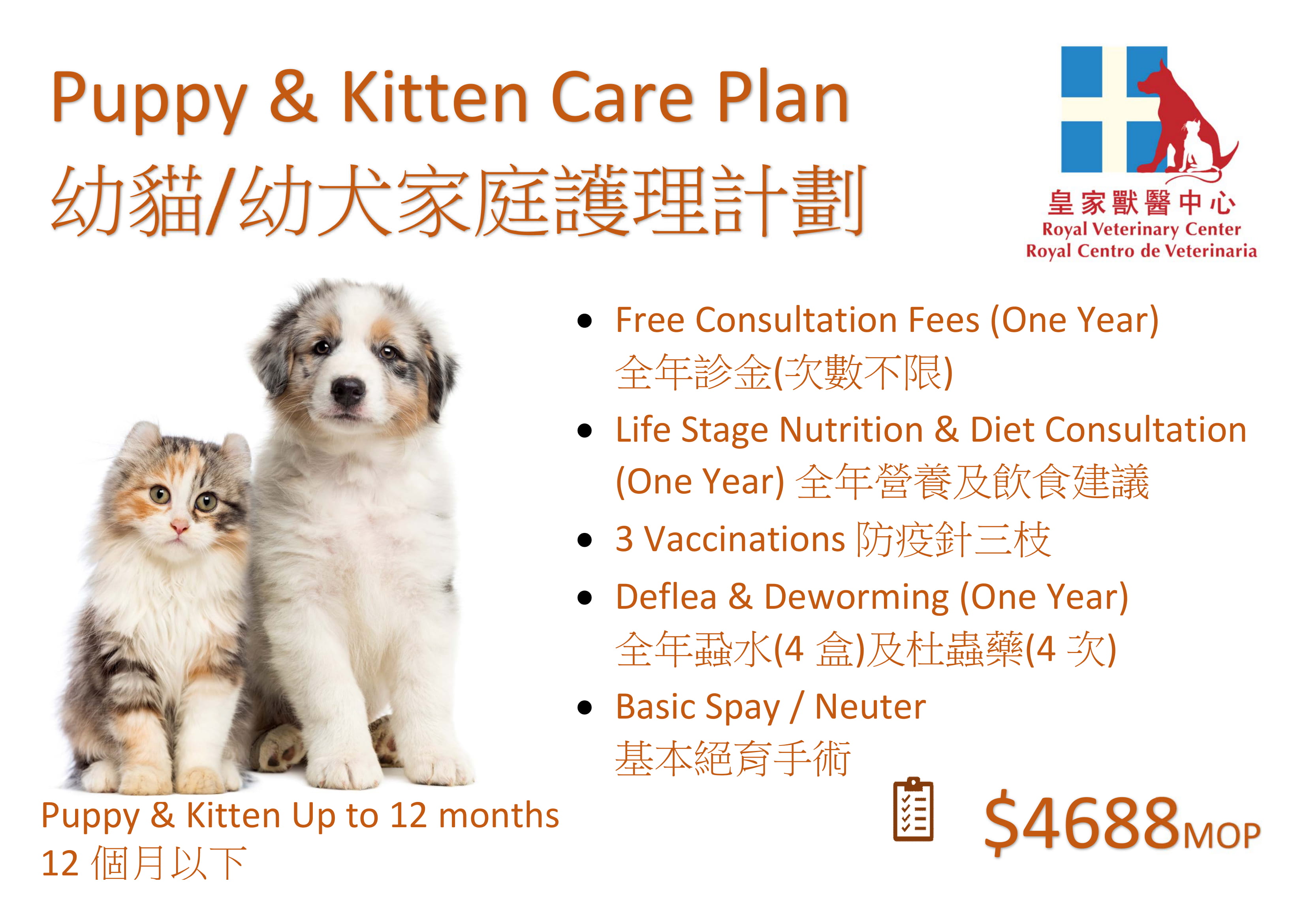 Puppy & Kitten Care Plan-1