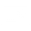 报表