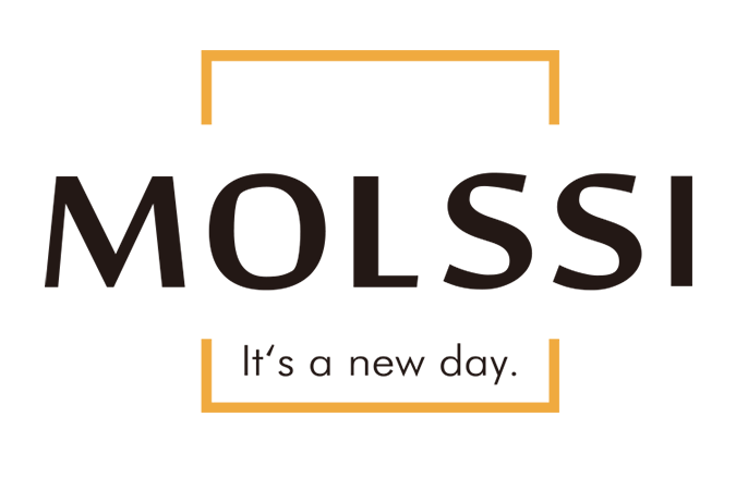 MOLSSI Umbrella - 原创设计雨伞品牌中国官方网站 | MOLSSI designer umbrella brand, making umbrellas beautiful.