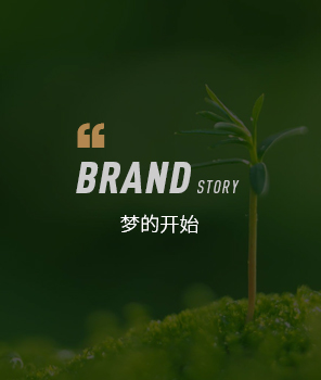 梦的开始 梦的开始