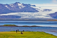 冰岛高尔夫球场-雷克雅未克高尔夫 (1)