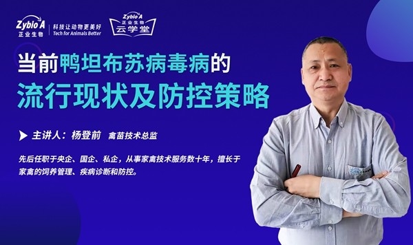 當前鴨坦布蘇病毒病的流行現狀及防控策略-楊登前