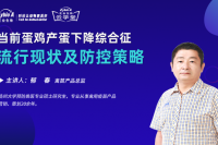 當前蛋雞產(chǎn)蛋下降綜合征流行現(xiàn)狀及防控策略