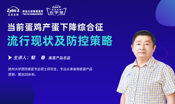 當前蛋雞產蛋下降綜合征流行現狀及防控策略