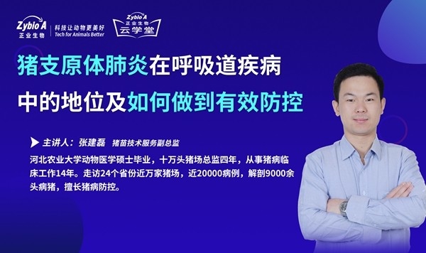 豬支原體肺炎在呼吸道疾病-張建磊