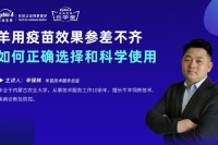 羊用疫苗效果參差不齊-辛保林海報