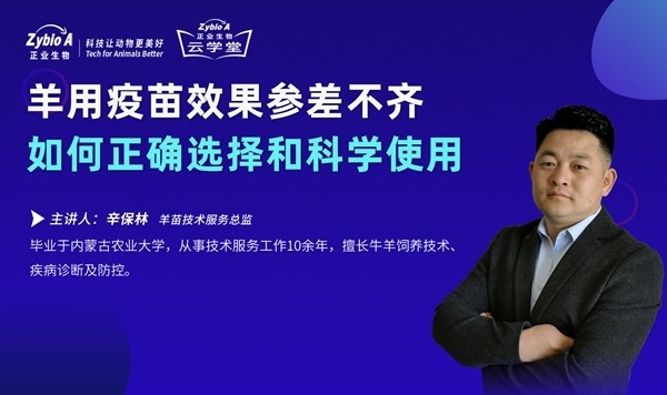 羊用疫苗效果參差不齊-辛保林海報