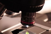 09d95c64c5378845e0d645c0026ac143