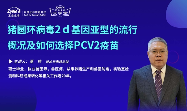 豬圓環(huán)病毒2d基因亞型的流行-夏偉