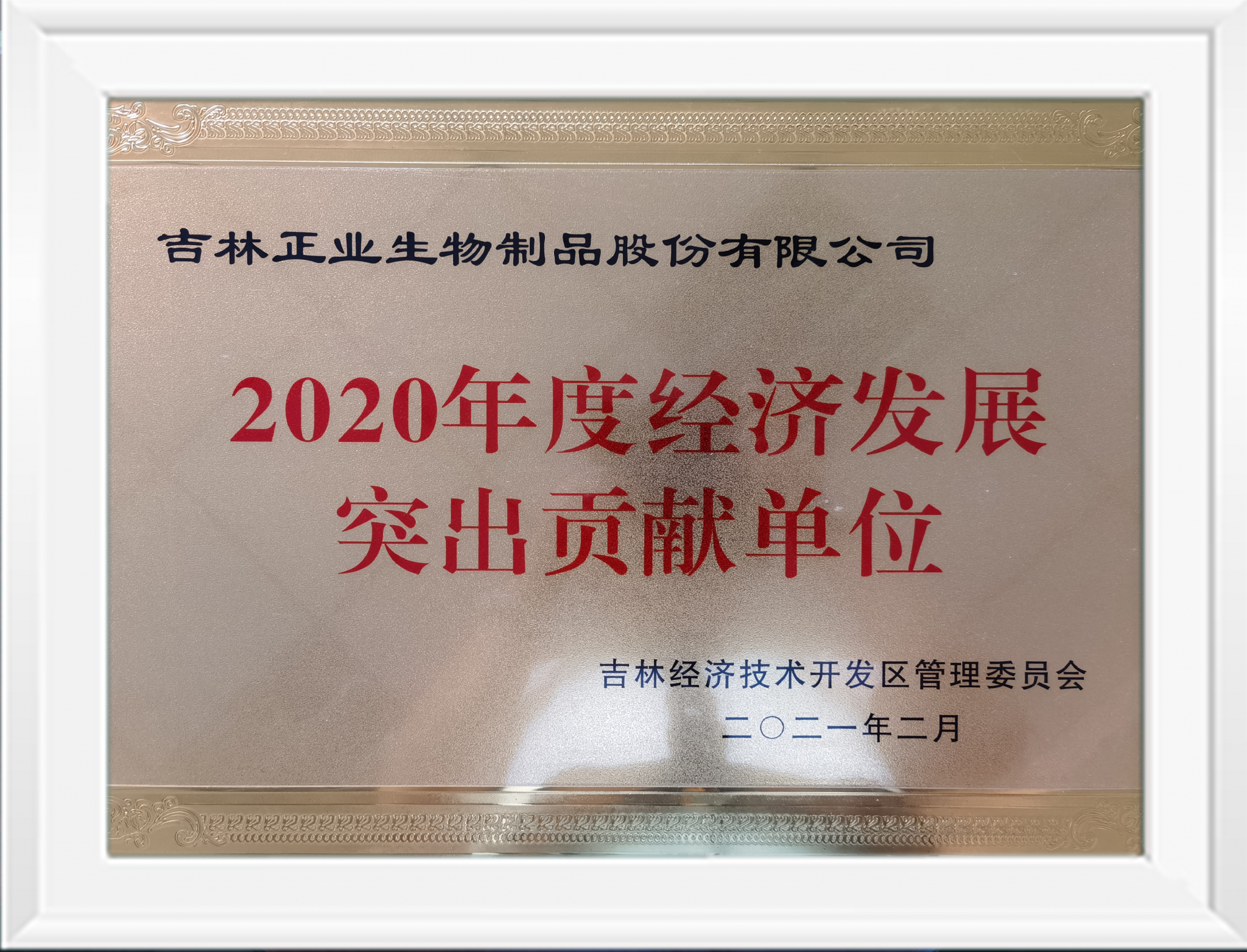 2020年經濟突出貢獻獎
