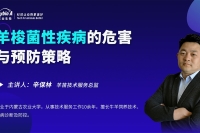 羊梭菌性疾病的危害與預防策略-辛保林