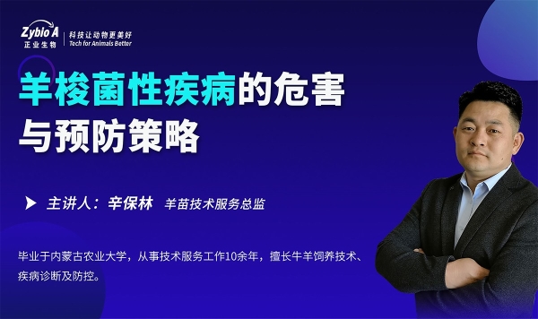 羊梭菌性疾病的危害與預防策略-辛保林