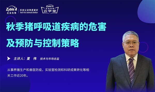 秋季豬呼吸道疾病的危害