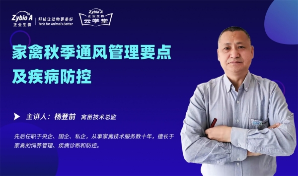 楊老師視頻封面