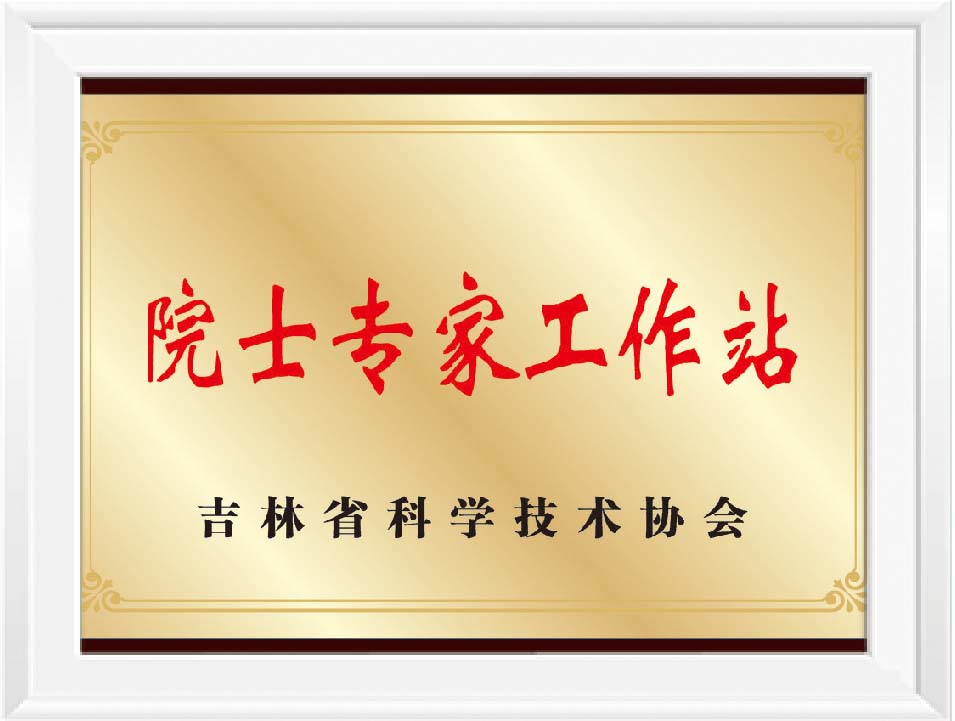 院士專家工作站