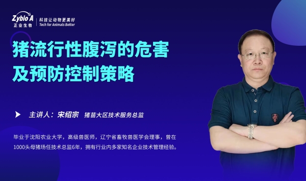 宋老師視頻封面