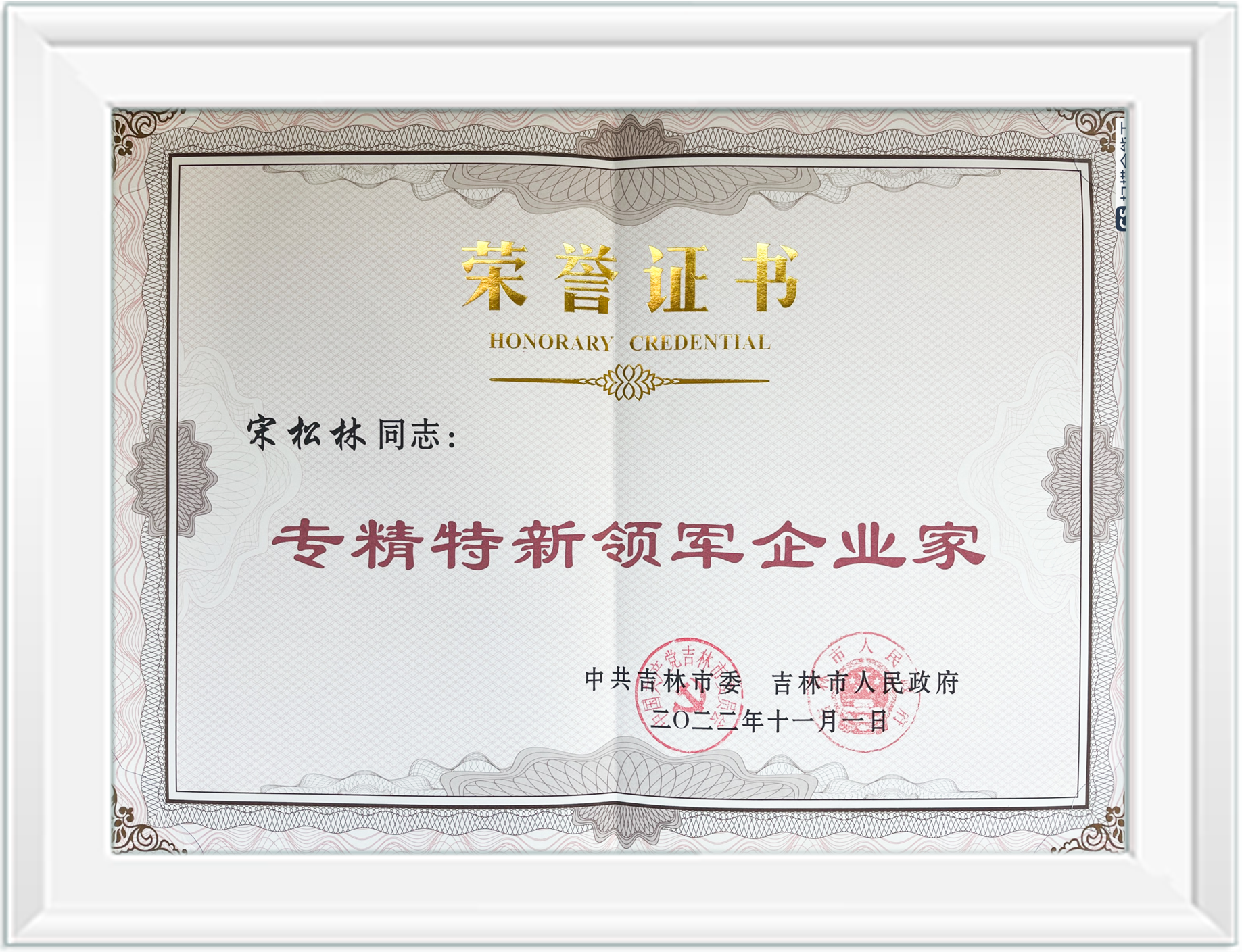 專精特新領軍企業