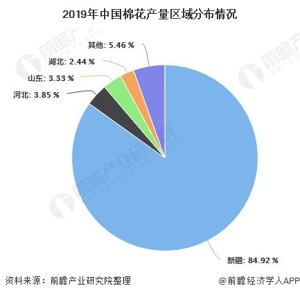 2019年中国棉花产量区域分布情况