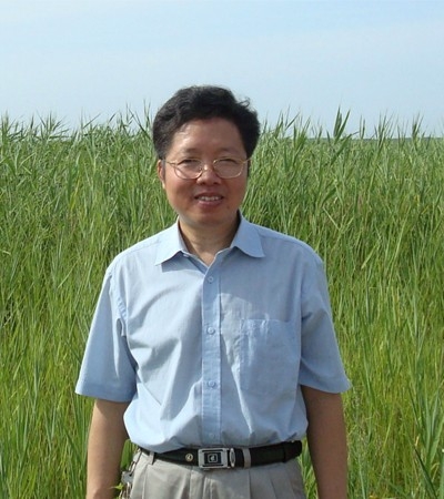孟建伟
