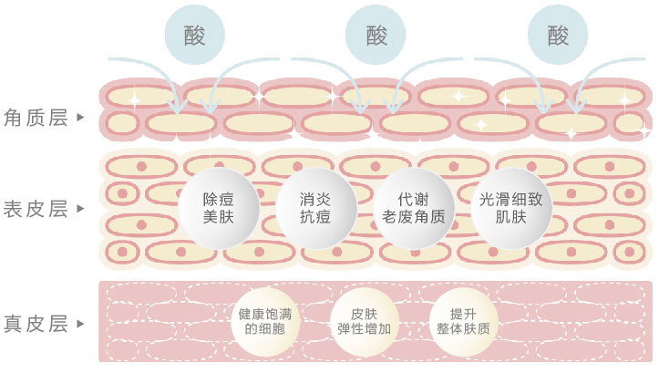 刷酸英文怎么说