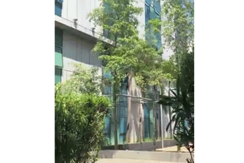 博彩法規,殺豬盤,博彩監管