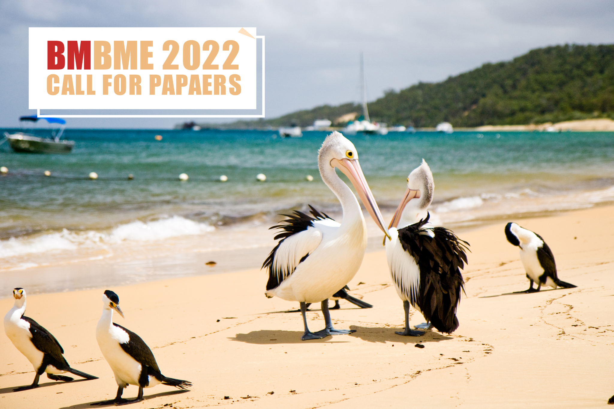 BMBME2022 Call for Papers