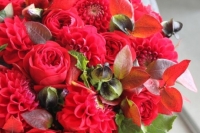 IMG_2708-540x540