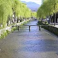 祇園 + 白川一本橋