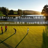 瑞典华人高尔夫