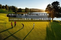 瑞典华人高尔夫
