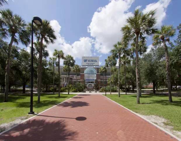 佛罗里达大学university of florida