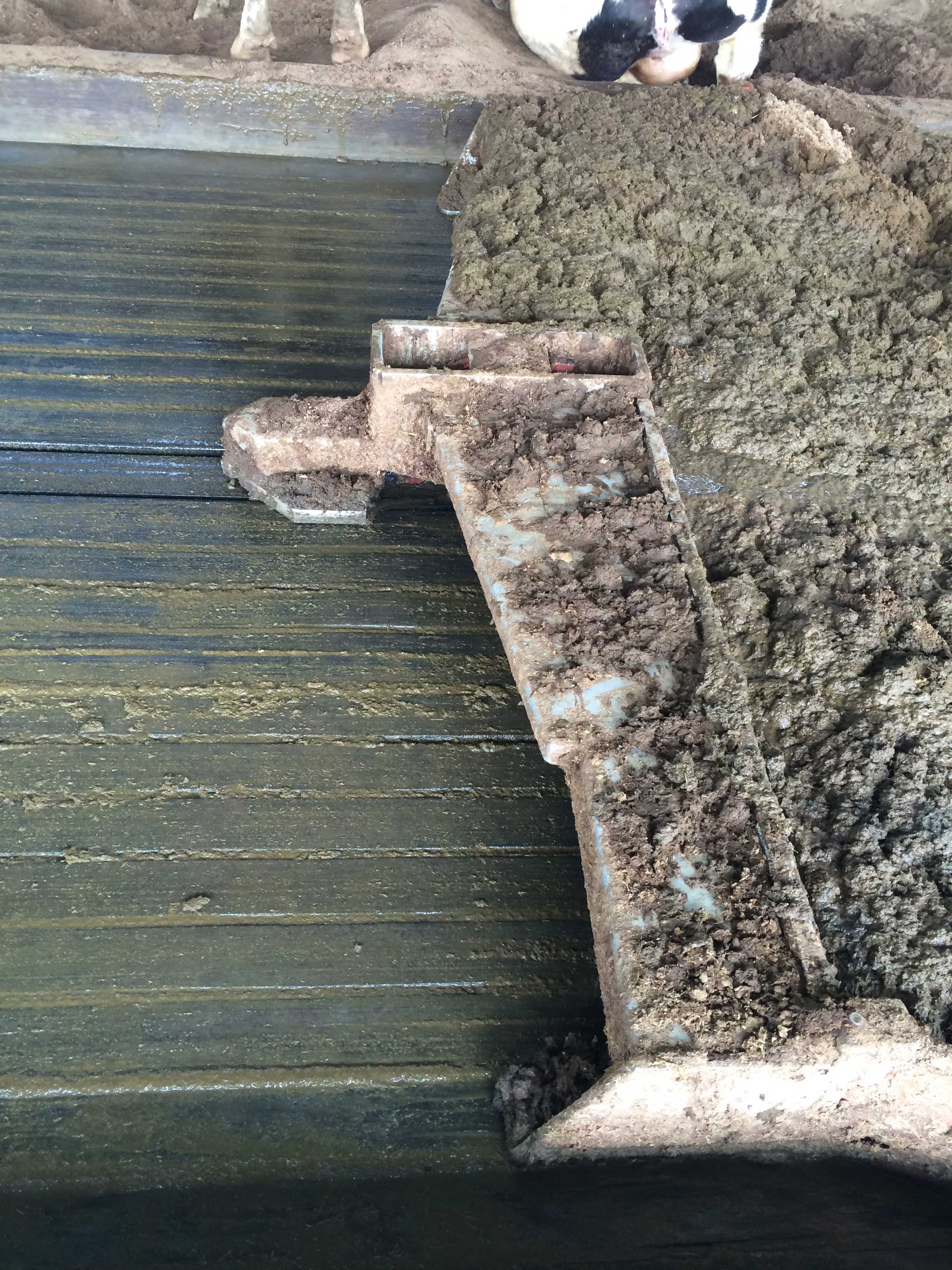 液压刮粪板 hydraulic scraper