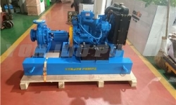 i202012311335511388299