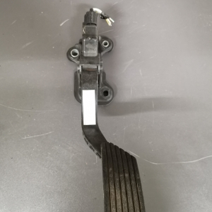 pedal_ (41)
