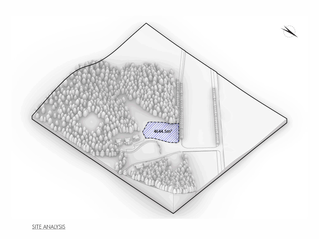 SITE-ANALYSIS