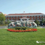 羊业1
