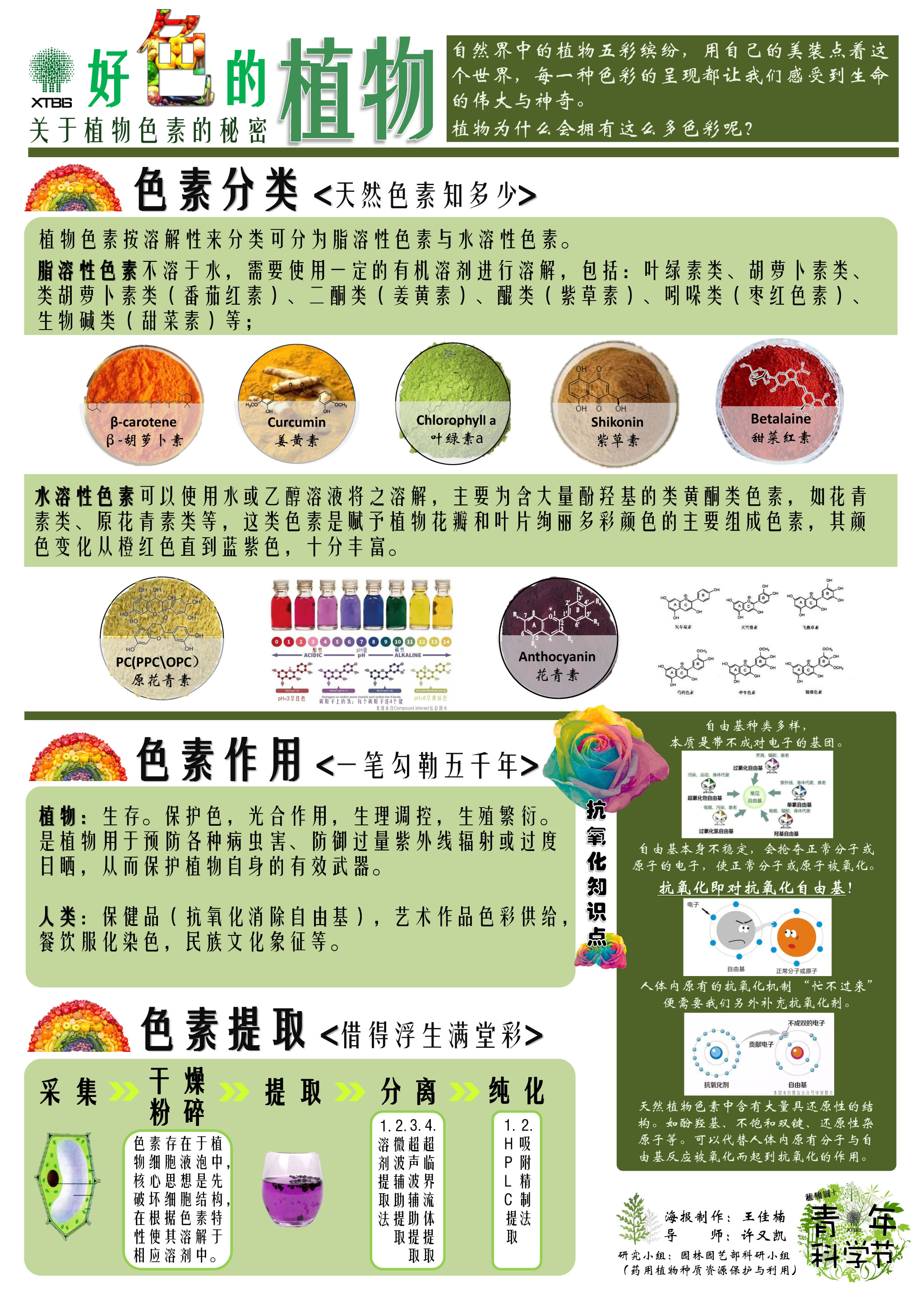 好色的植物（作者：王佳楠）