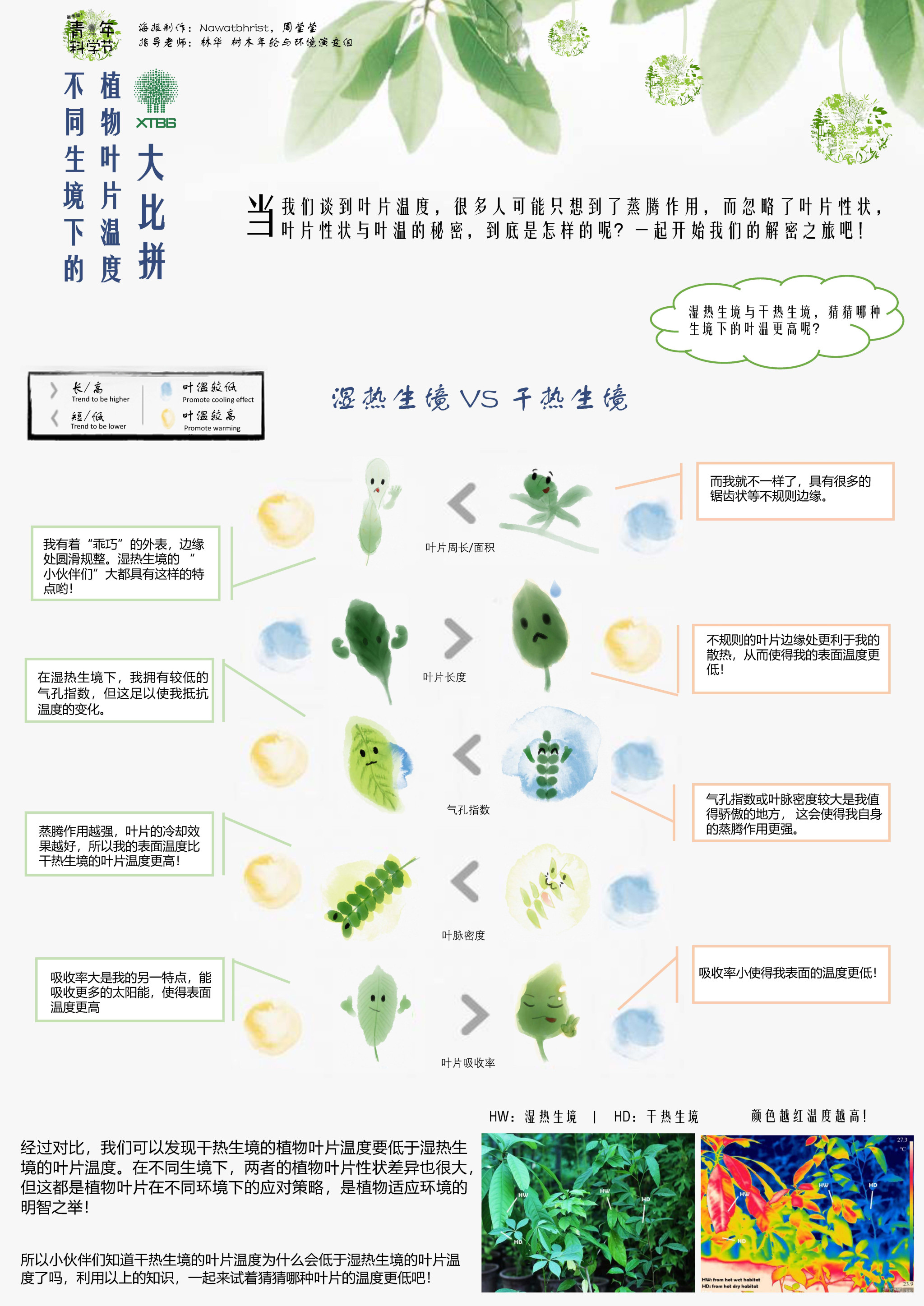 不同生境下的植物叶片温度大比拼（作者：mat&周莹莹）