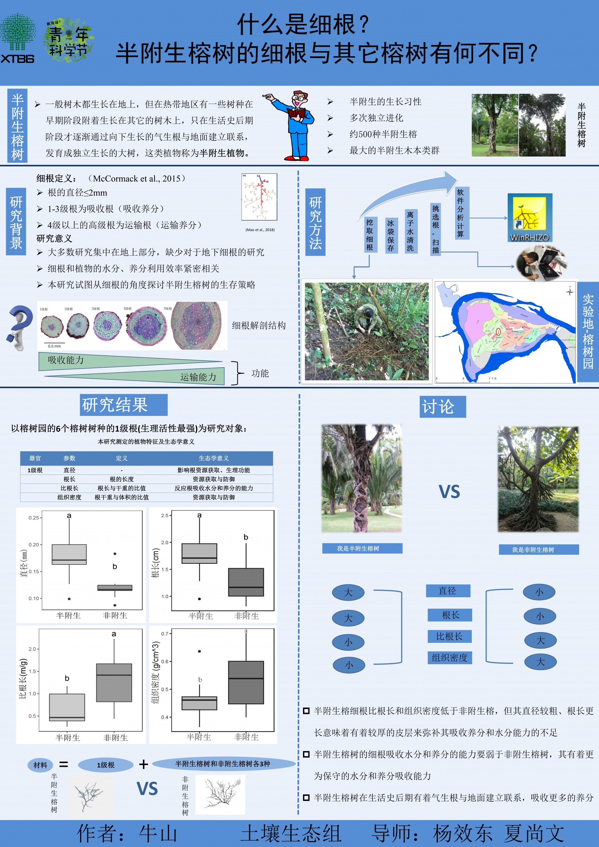什么是细根？半附生榕树的细根与其它榕树有何不同？（作者：牛山）