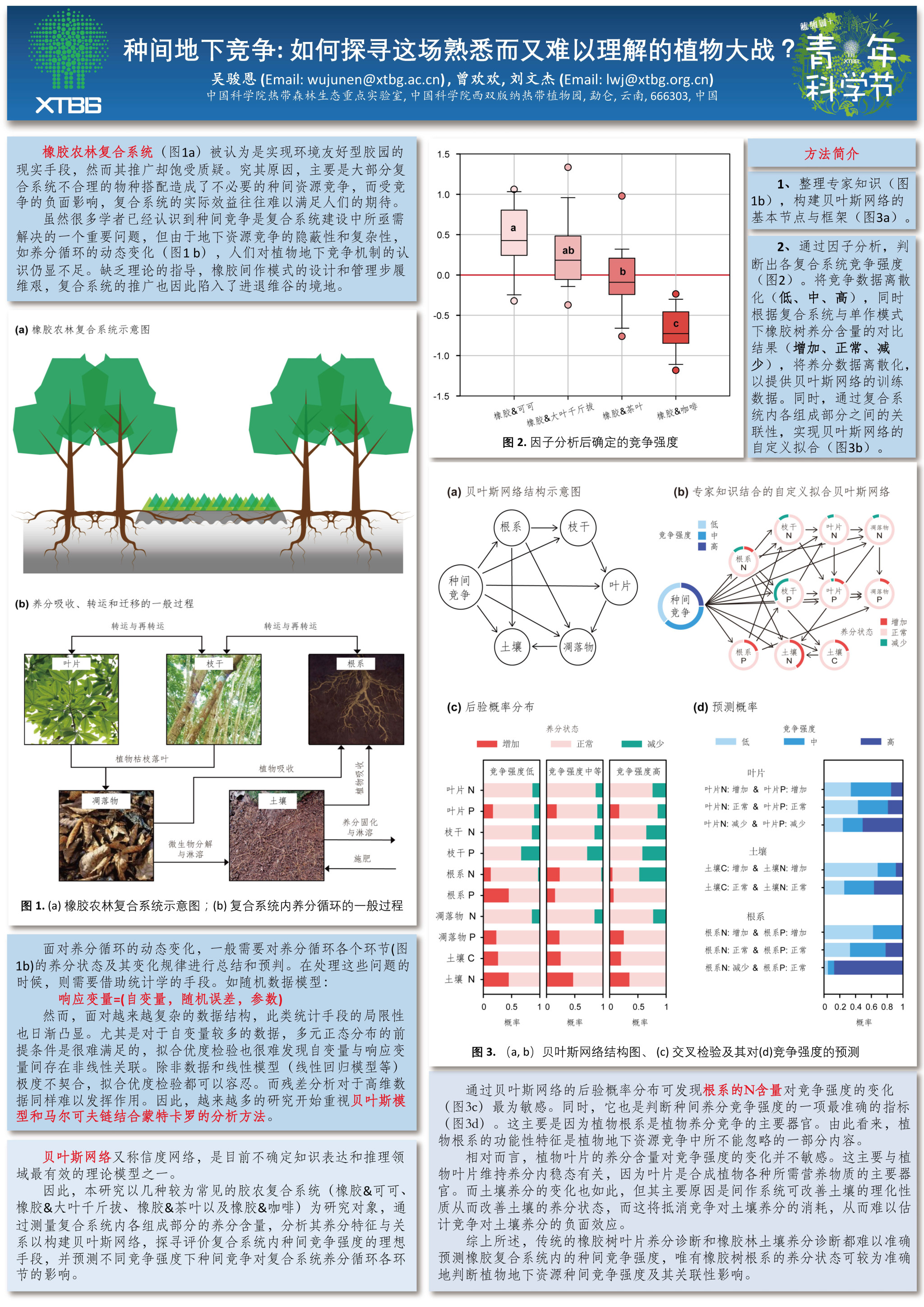 种间地下竞争：如何探寻这场熟悉而又难以理解的植物大战（作者：吴骏恩&曾欢欢）