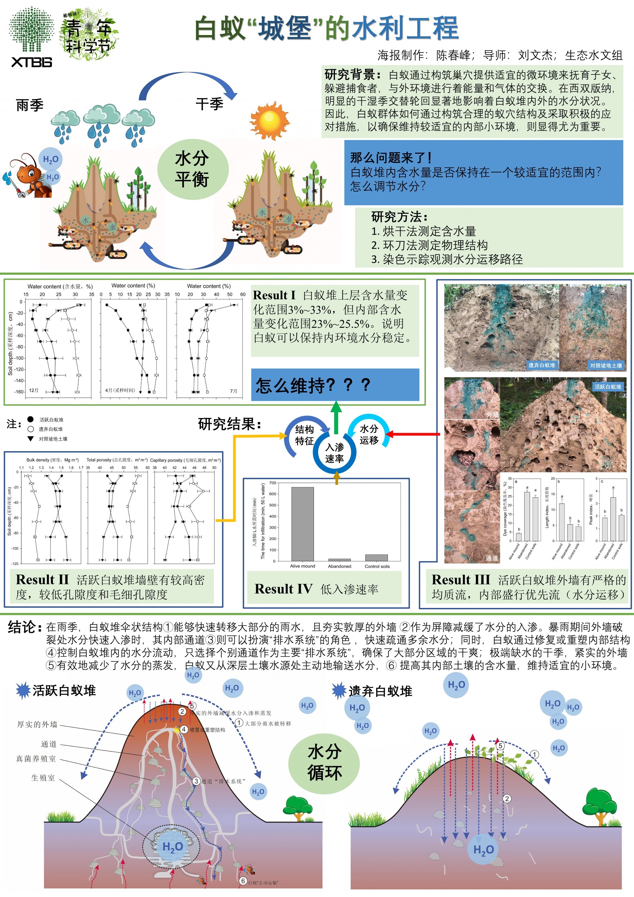 白蚁“城堡”的水利工程（作者：陈春峰）