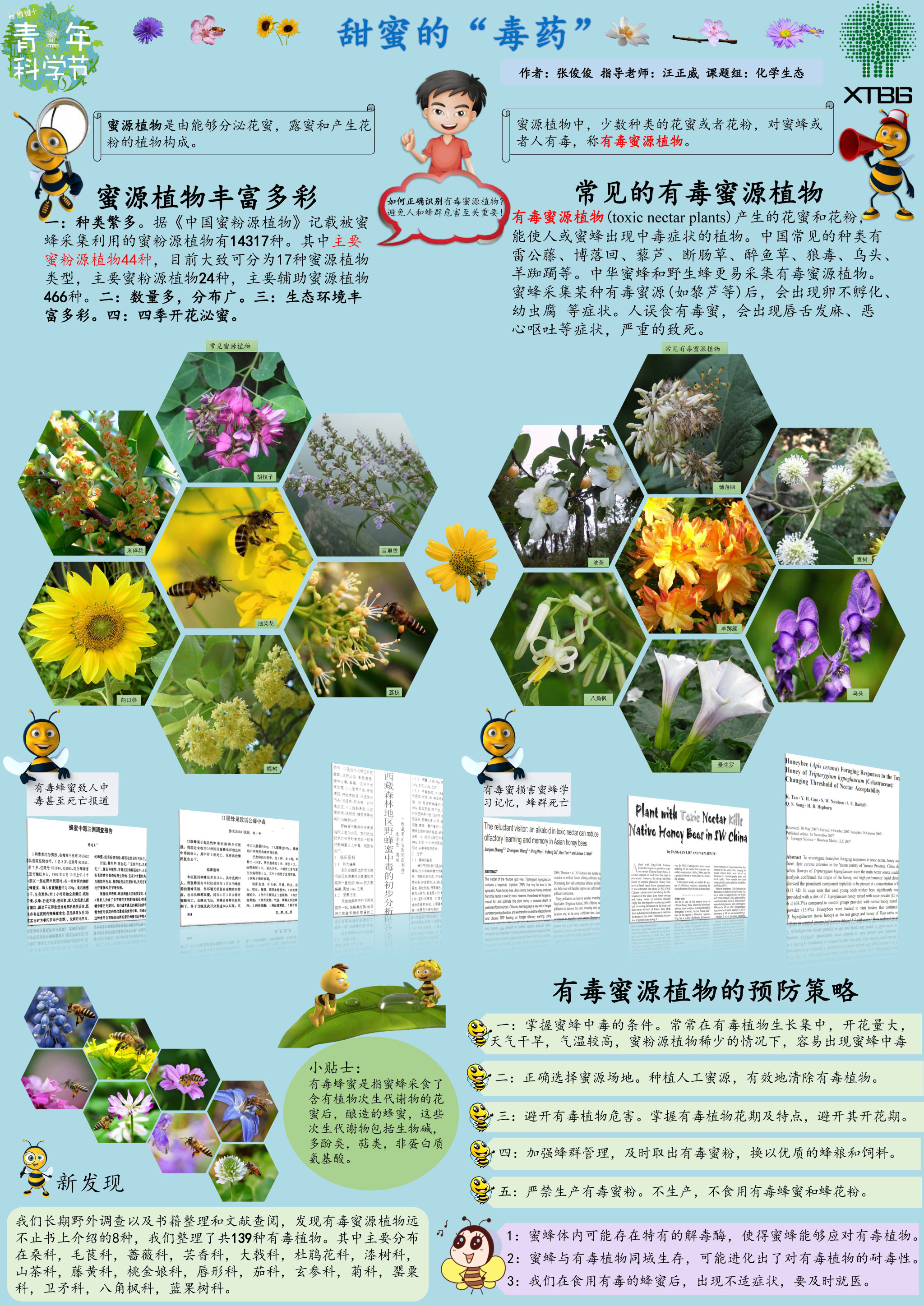 蜜蜂的花花世界（作者：张俊俊）