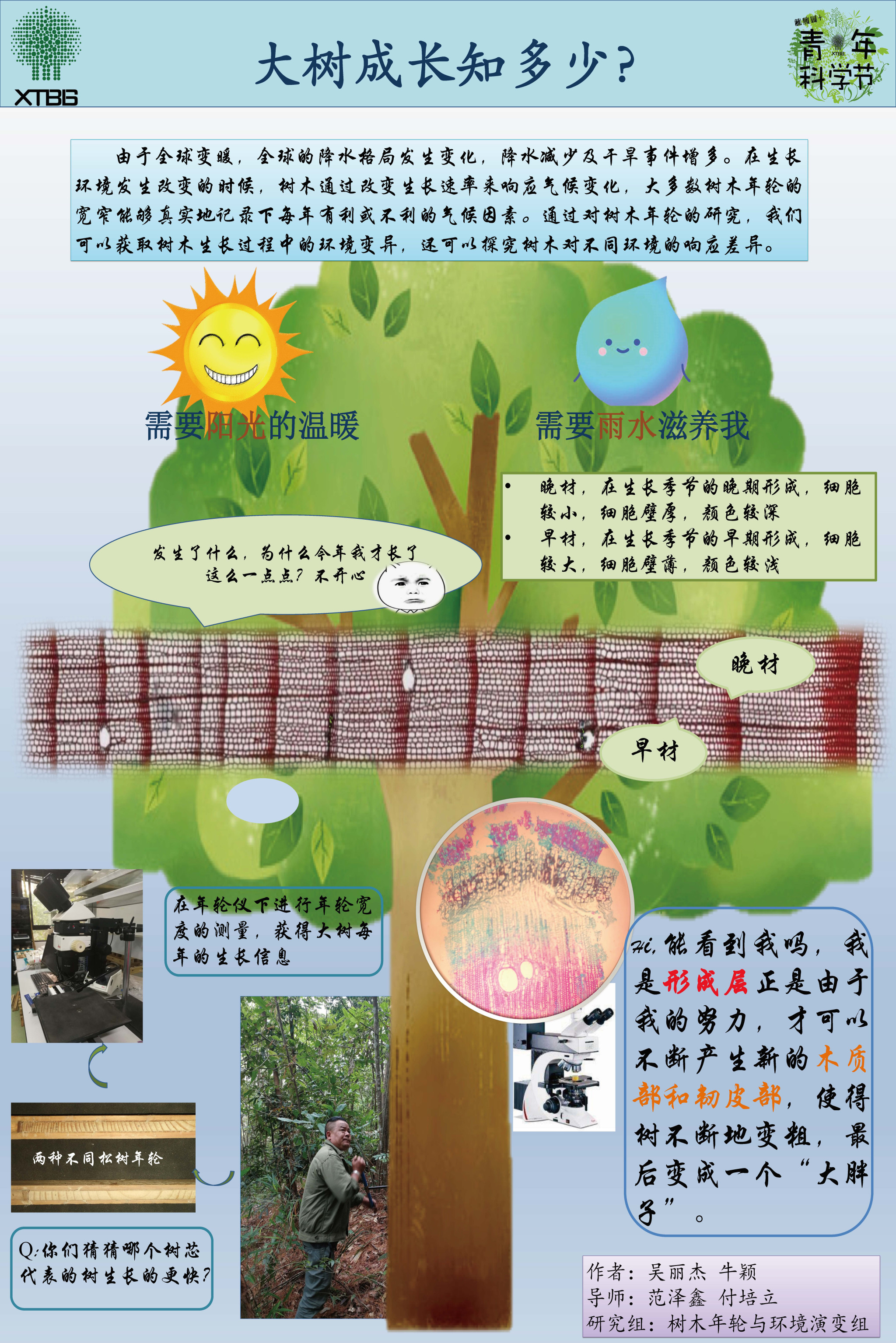 大树成长知多少（作者：吴丽杰&牛颖）