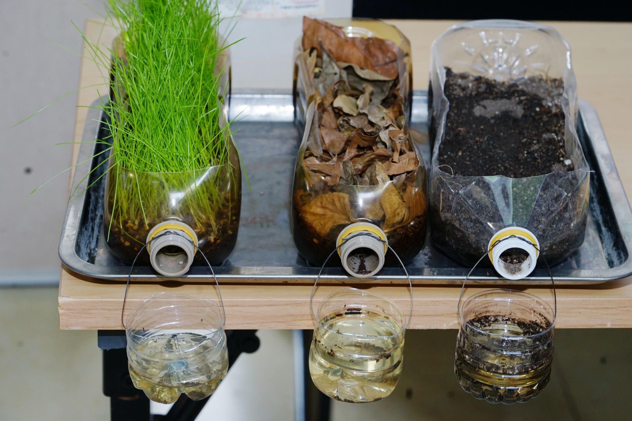 实验模型（玉最东 摄）