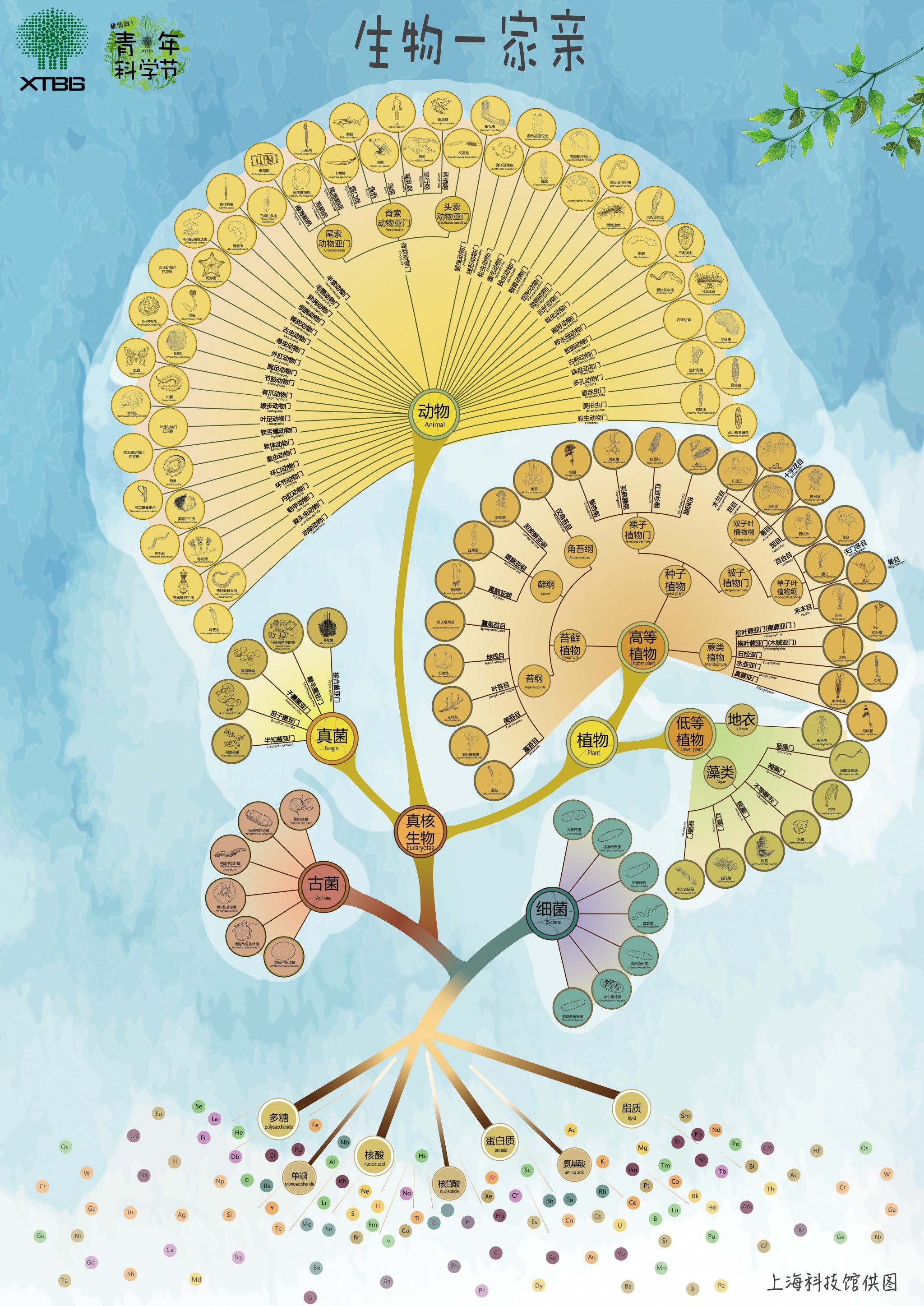 生物一家亲(作者：上海科技馆)