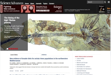 棕榈化石研究发现成绩喜人